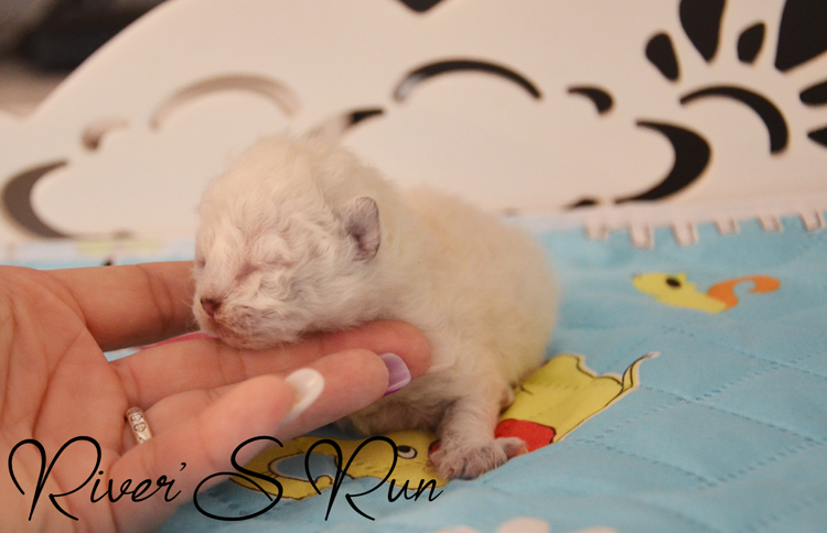 Victoria 12.01 (1).jpg